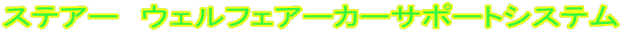 XeA[@EFtFA[J[T|[gVXe